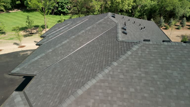 Best Roof Ventilation Installation  in USA